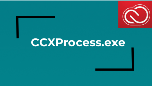 CCXProcess.exe