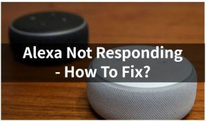 Alexa没有回应
