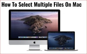 在Mac上选择多个文件
